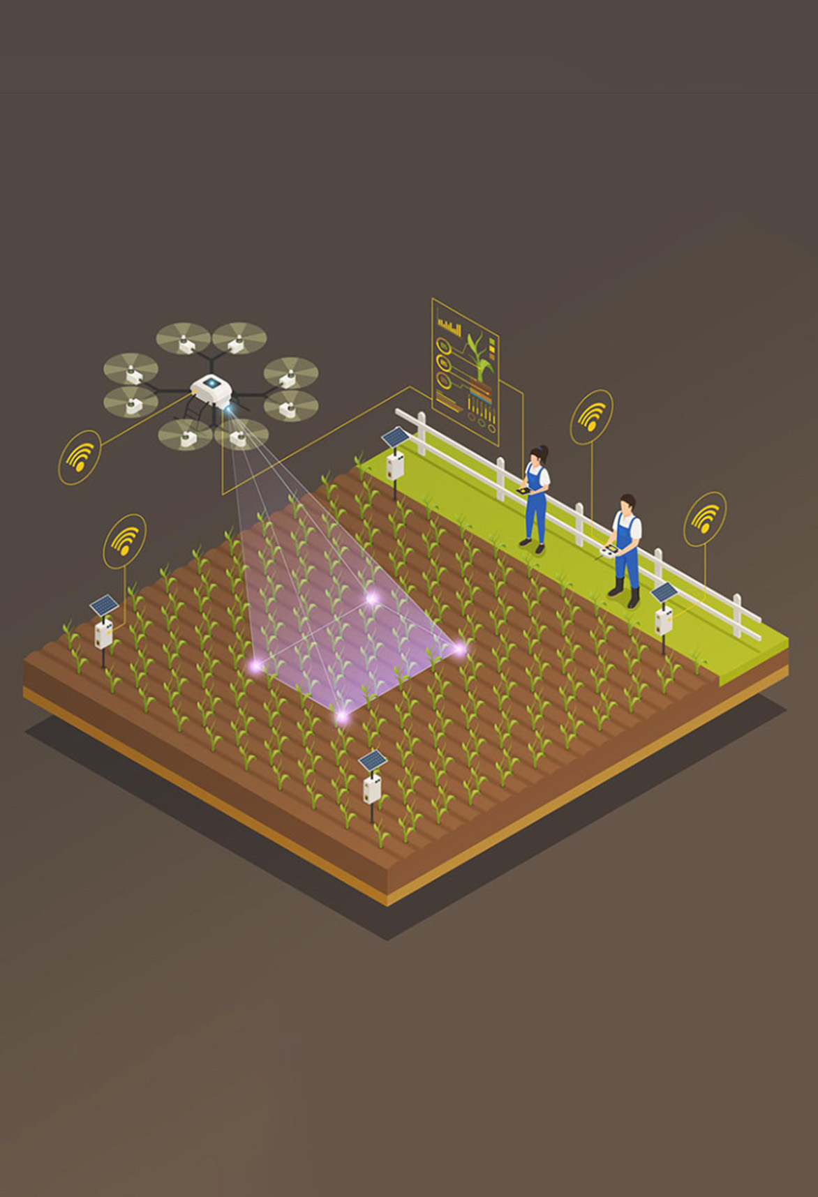 Patricia Iniesta Rey. Mapeo con Drones